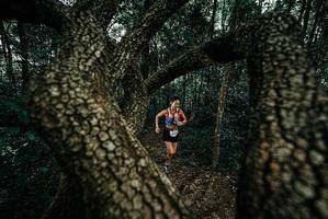 BIB: 
                            <button type="button" onclick="openModal(25682392)" class="btn btn-primary btn-sm float-right btn-popup" data-toggle="modal" data-target=".modal-high-quality">
                        <i class="fas fa-shopping-cart"></i> Add to Cart
                    </button>
                                            <button type="button" onclick="isThisMe(25682392, true)" class="btn btn-success btn-sm float-right btn-popup btn-isme hidden" data-toggle="tooltip" data-placement="bottom" title="นี่คือรูปของคุณใช่ไหม คลิกที่นี่เพื่อเอาเข้าอัลบั้ม">
                        <i class="fas fa-plus"></i> Add to album
                    </button>
                    <button type="button" onclick="isThisMe(25682392, false)" class="btn btn-warning btn-sm float-right btn-popup btn-isnotme hidden">
                        <i class="fas fa-ban"></i> Remove from album
                    </button>